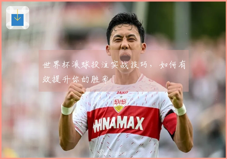 世界杯滚球投注实战技巧，如何有效提升你的胜率