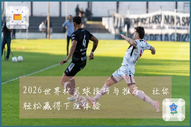 2026世界杯买球技巧与推荐，让你轻松赢得下注体验