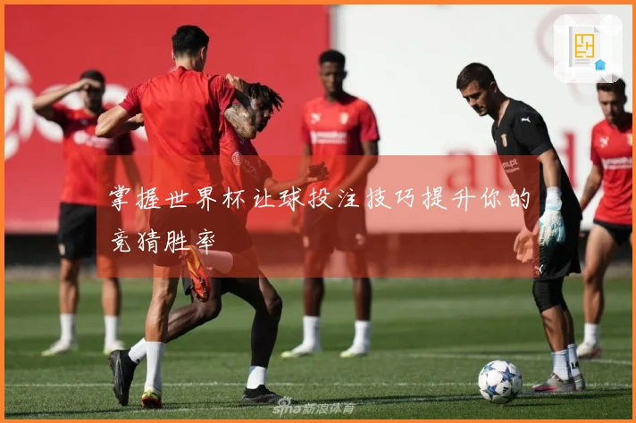 掌握世界杯让球投注技巧提升你的竞猜胜率