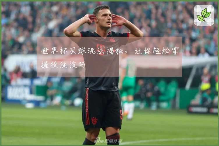 世界杯买球玩法揭秘，让你轻松掌握投注技巧