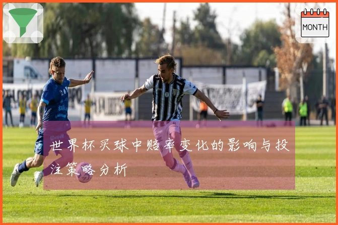 世界杯买球中赔率变化的影响与投注策略分析