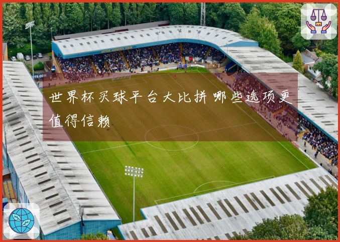 世界杯买球平台大比拼 哪些选项更值得信赖