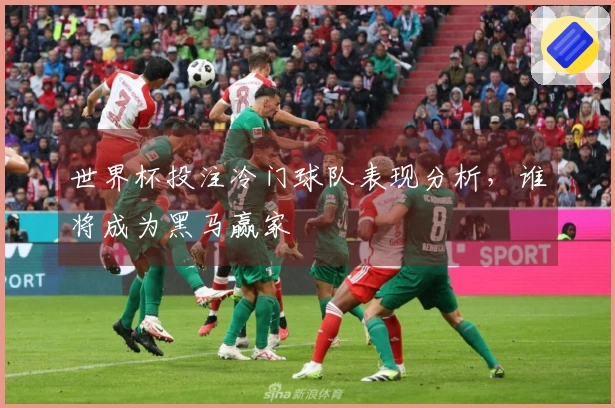世界杯投注冷门球队表现分析，谁将成为黑马赢家