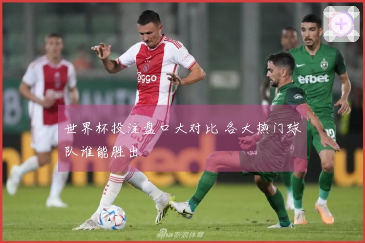 世界杯投注盘口大对比 各大热门球队谁能胜出