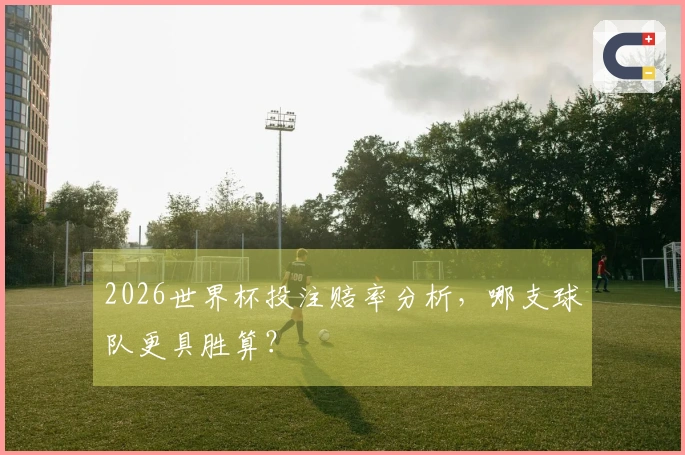 2026世界杯投注赔率分析，哪支球队更具胜算？