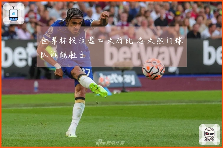世界杯投注盘口大对比 各大热门球队谁能胜出