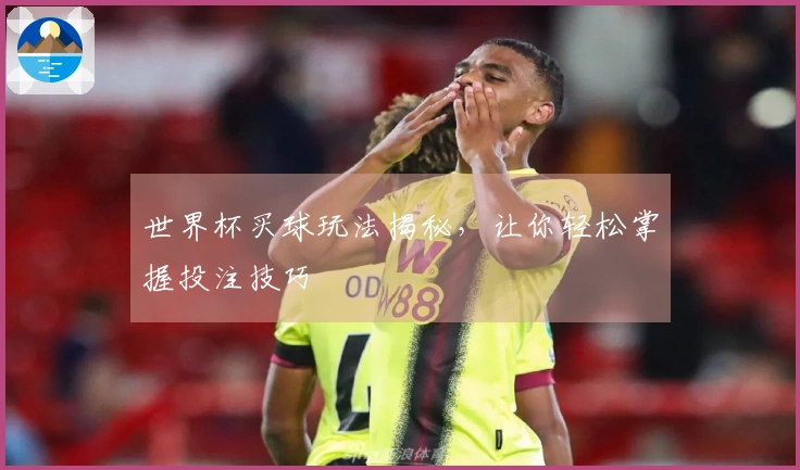 世界杯买球玩法揭秘，让你轻松掌握投注技巧
