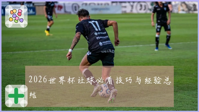 2026世界杯让球必看技巧与经验总结