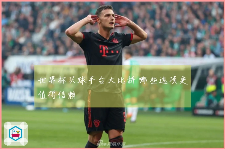 世界杯买球平台大比拼 哪些选项更值得信赖