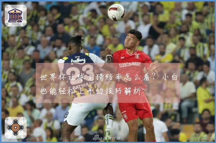 世界杯让球竞猜赔率怎么看？小白也能轻松上手的技巧解析