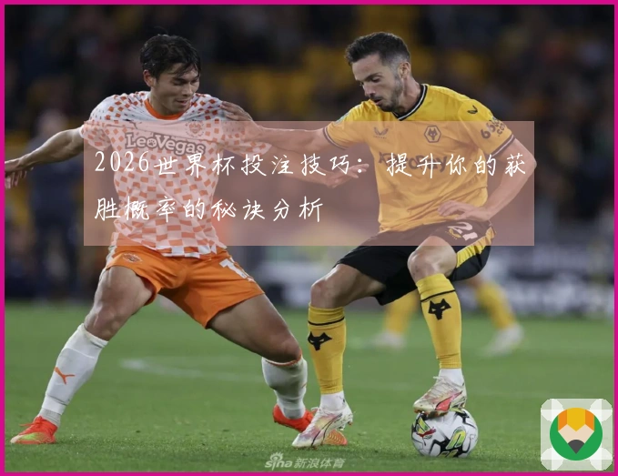 2026世界杯投注技巧:提升你的获胜概率的秘诀分析