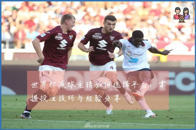 世界杯滚球竞猜如何选择平台，掌握投注技巧与经验分享