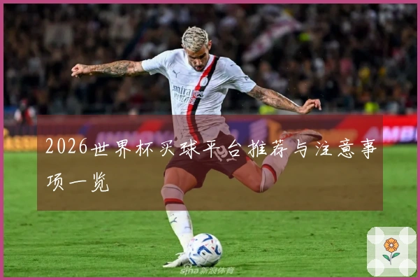 2026世界杯买球平台推荐与注意事项一览
