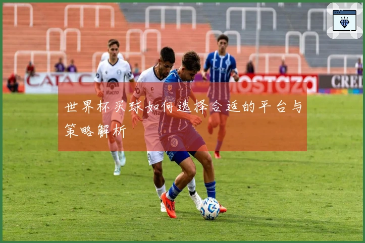 世界杯买球如何选择合适的平台与策略解析