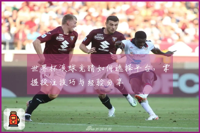 世界杯滚球竞猜如何选择平台，掌握投注技巧与经验分享